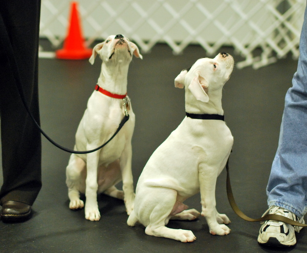 Yes, you have our attention!
