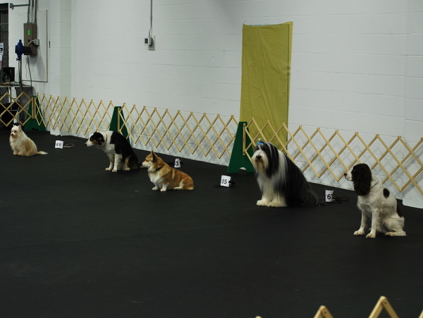 Long Sits