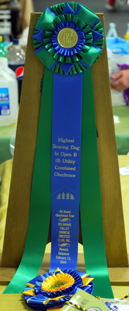 High in Trial Combined Score in Obedience
