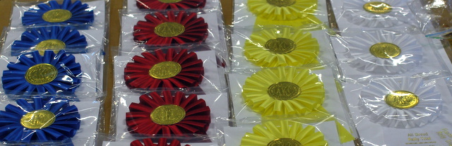 Obedience Hi Combined Score