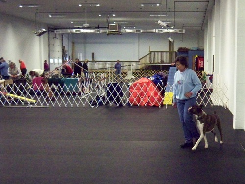Obedience Exercise