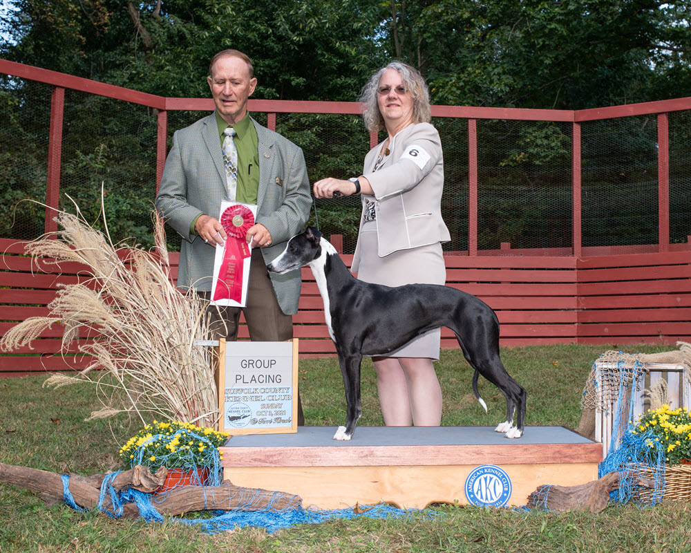 Janine with Nero, winning Best of Breed and Group Placement at the Suffolk County Kennel Club Show