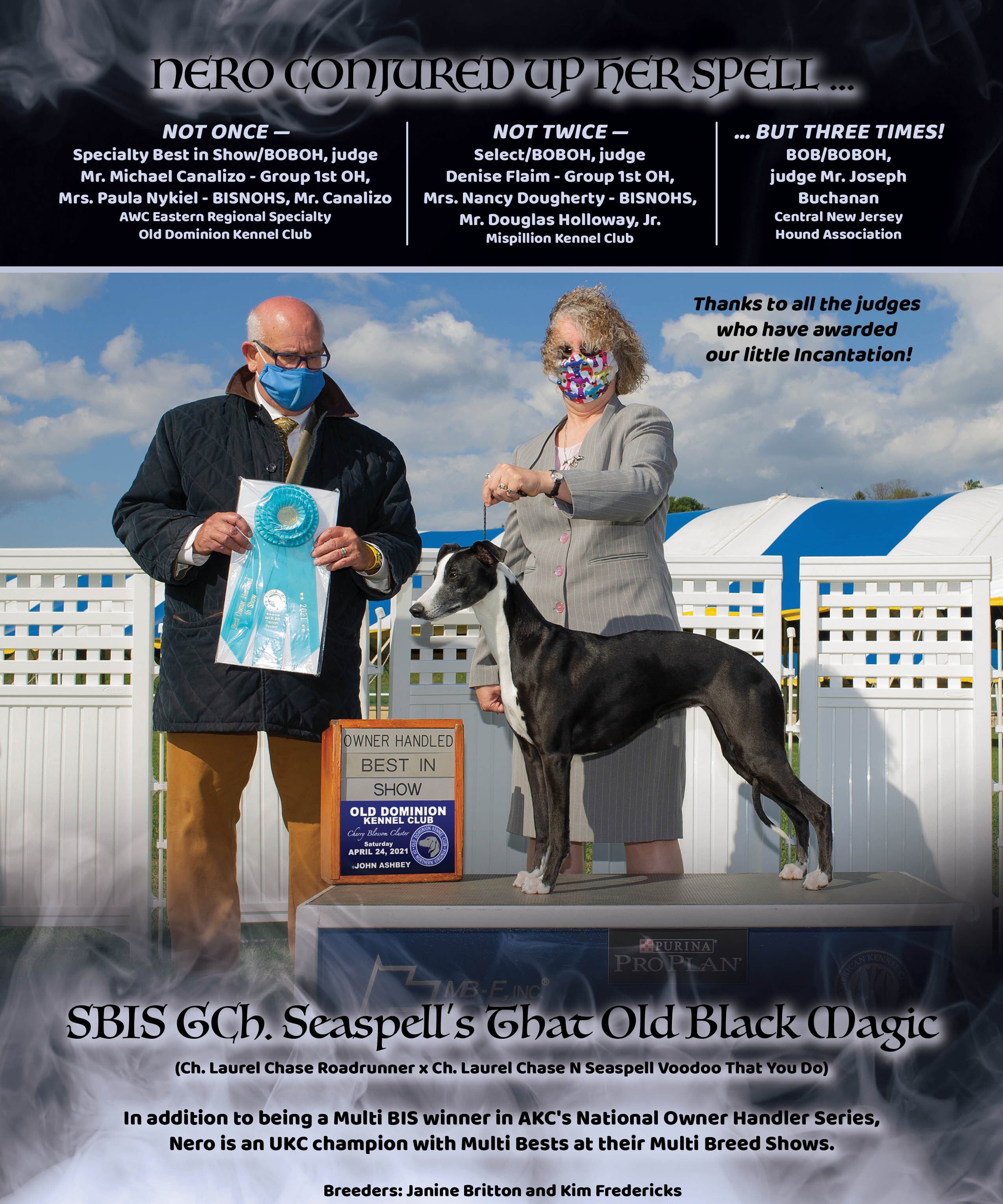 Janine with Nero, winning Best of Breed and Group Placement at the Suffolk County Kennel Club Show. Ad in the Whippet Review!