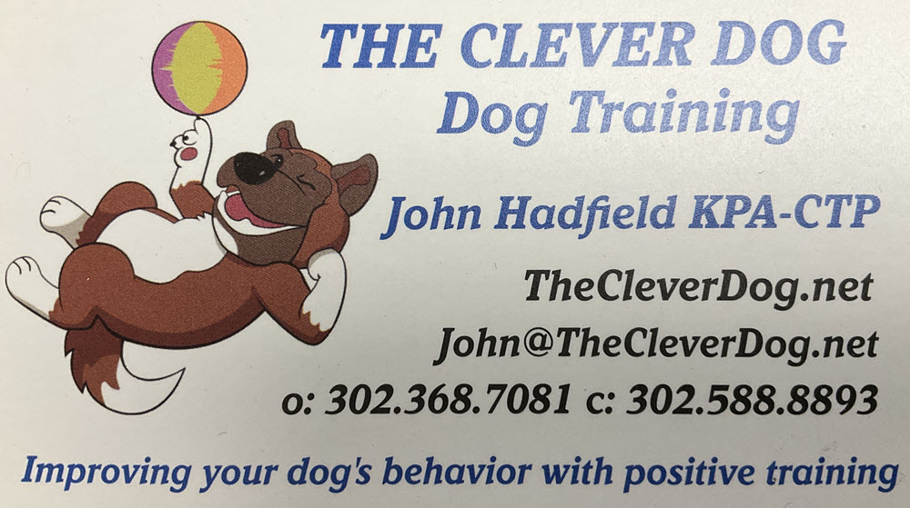 The Clever Dog Dog Training By John Hadfield, KPA-CTP