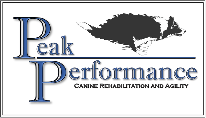 Peak Performance Canine Rehabilitation and Agility