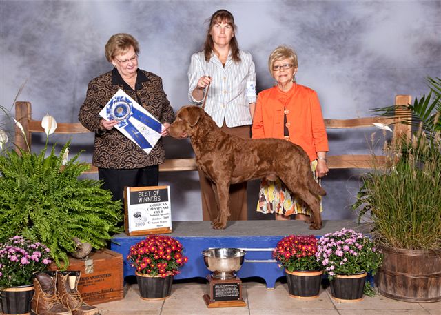 BOW at the Chesapeake Bay Retriever National Specialty