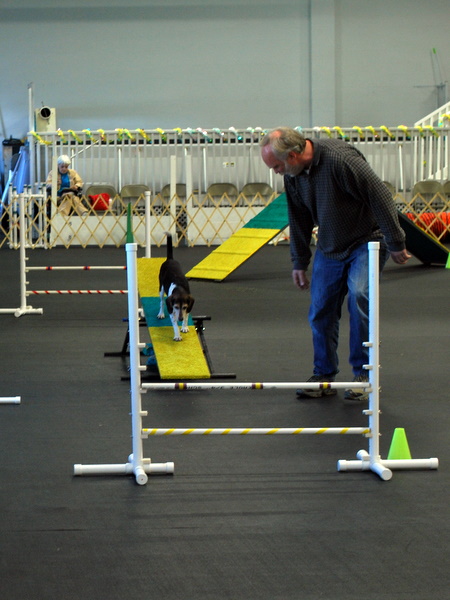 Martin with Jordon at the March Agility Trial 2010