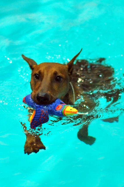 Swimming and having fun!