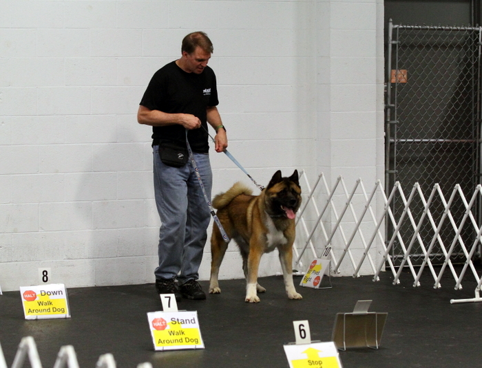 John in Rally Obedience