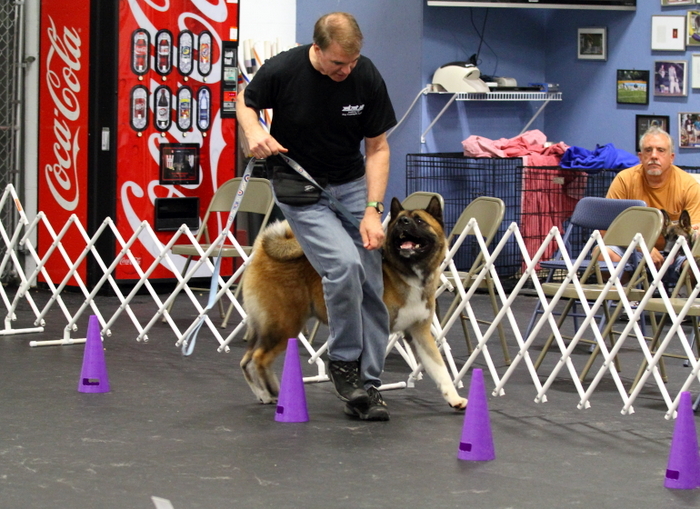 John doing Rally Obedience