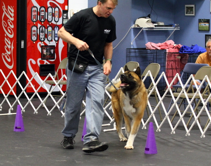 John doing Rally Obedience
