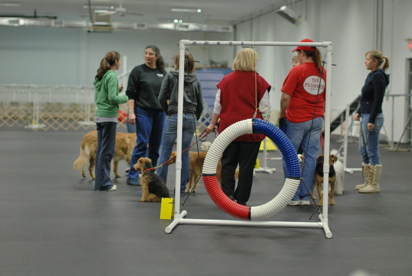 Agility Class