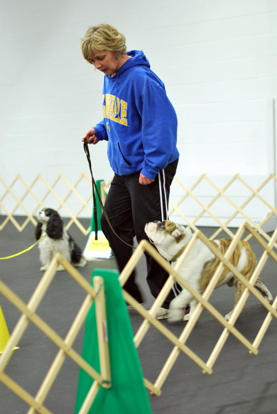 Peggy with Stoney in Rally Class