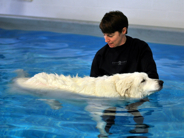 Carrie teaching an AkBash Dog