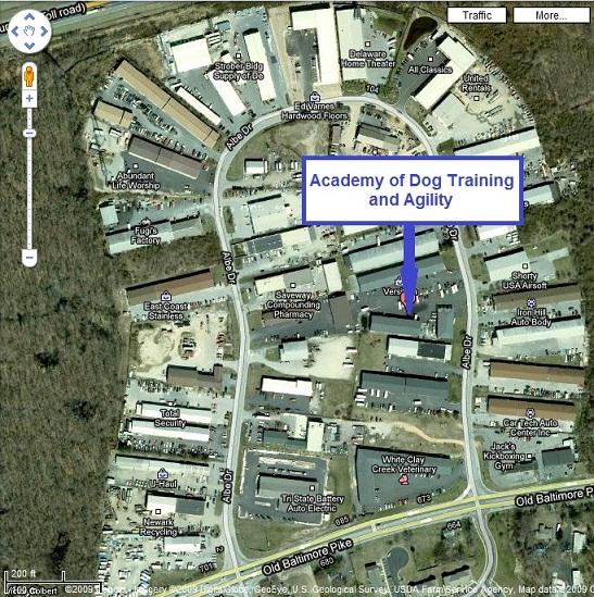 Satellite Image of the Academy on Albe Drive