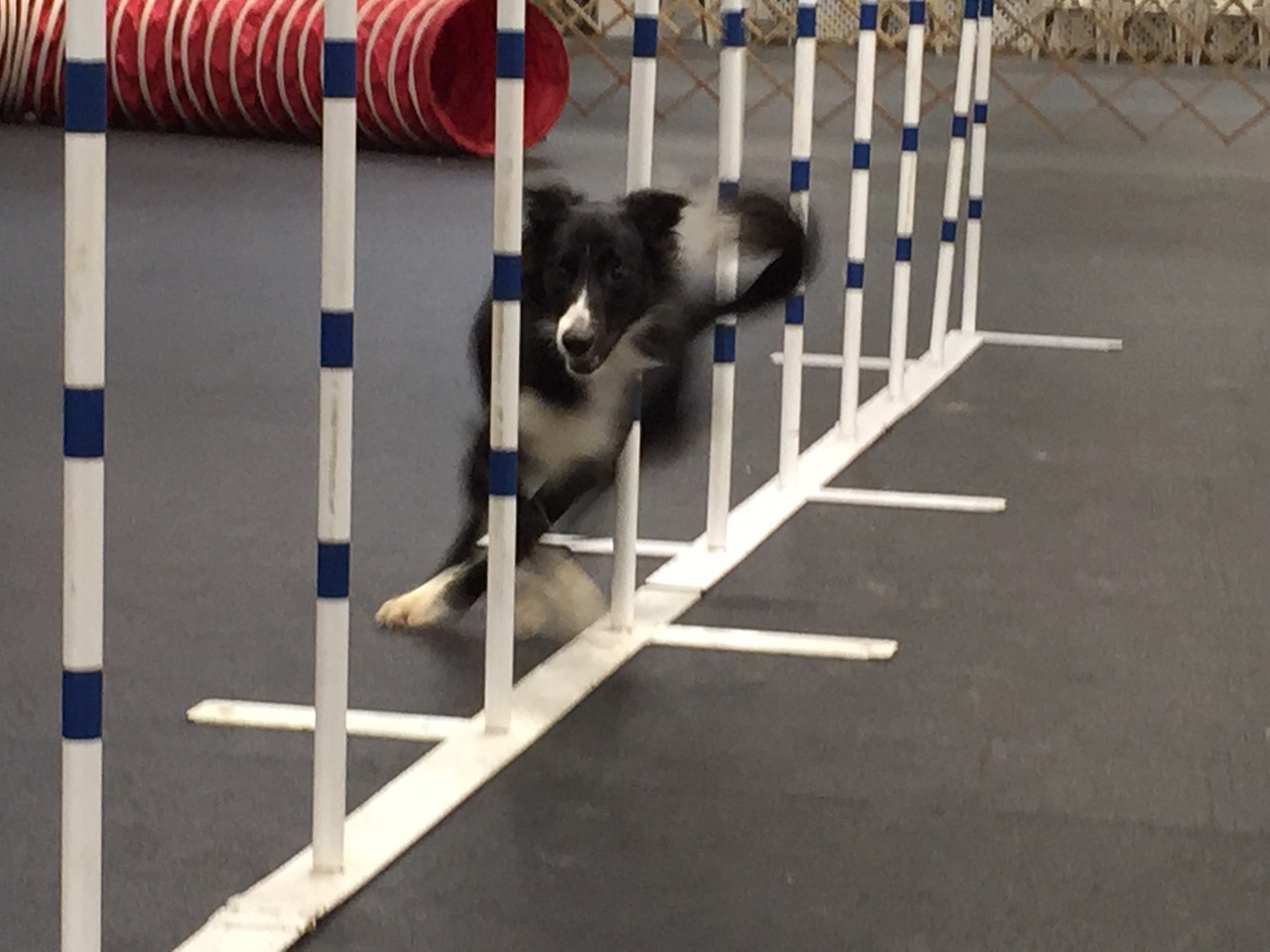 Agility